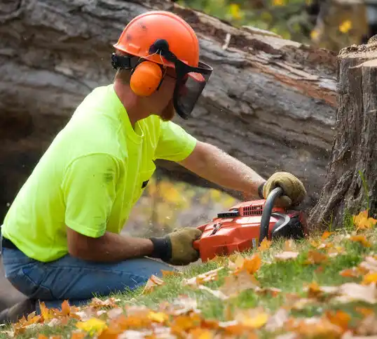 tree services Montgomery City